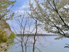 -东湖听涛景区