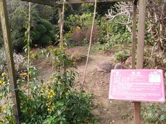 -广西壮族自治区药用植物园