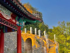 -北京鹫峰国家森林公园