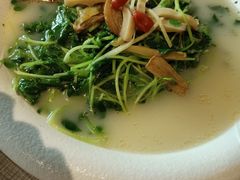 -石头咕(葵蓬店)