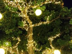 -泰堤坊(淡水体育馆店)