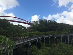 -金鸡山公园