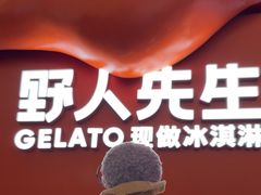 -野人先生现做冰淇淋(北京王府井东方新天地店)