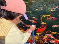 -羊亭河湿地公园