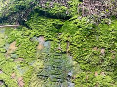 -缙云山景区