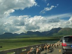 -青海湖国家重点风景名胜区