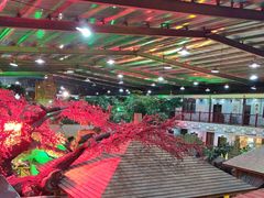 -老山东·山东菜(鲁菜名店)