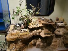 -庄隐阁(悠方广场店)