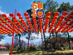 -广州莲花山旅游区