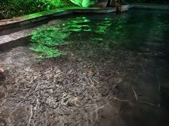 -天目湖御水温泉·度假酒店