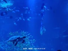 -太平洋海底世界