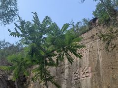 -灵溪风景区