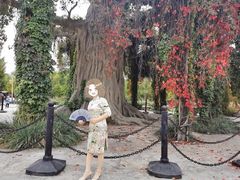 -石家庄市植物园