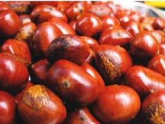 -粒上皇(五岭店)