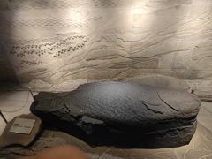 -白鹤梁水下博物馆