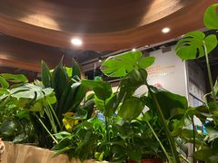 -云海肴汽锅鸡·云南小炒(曲江大悦城店)