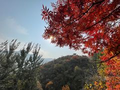 -周口店坡峰岭风景区