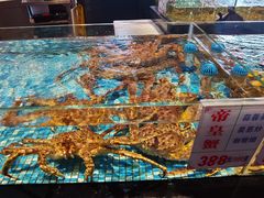 -广东道至正餐厅(区庄店)