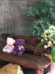 点击看大图 -iplus爱家高端孕妇摄影