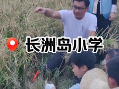 -长洲岛