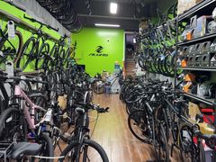 -道路口单车爱瓦士dahon大行