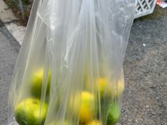 -前小桔亲子创意农场·草莓采摘·露营烧烤