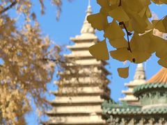 -北京石刻艺术博物馆(五塔寺)