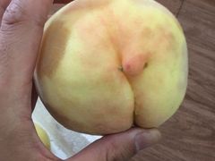 -南汇新场正宗水蜜桃采摘