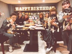 -百好乐宠物友好餐厅(朝外大街店)