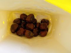 -好好栗子店(海宁总店)