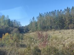 -黑瞎子岛探秘野熊园