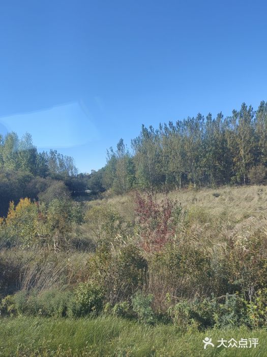 黑瞎子岛探秘野熊园图片