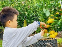 -前小桔亲子创意农场·草莓采摘·露营烧烤