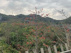 -福道