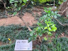 -广州神农草堂中医药博物馆