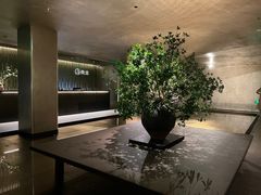 -隐溪茶馆(静安寺店)