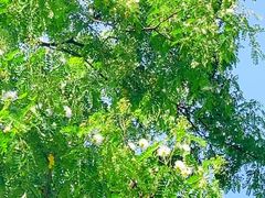 -白鹭湾湿地公园