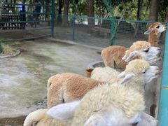 -宁波野生动物园