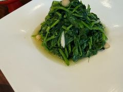 -九福楼大酒店