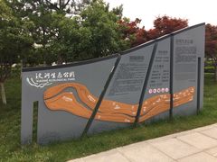 -洨河生态公园