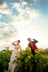 点击看大图 -都市丽人婚纱摄影