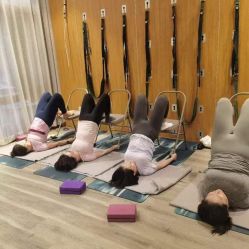 -花间禅净·瑜伽