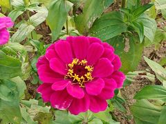 -羊亭河湿地公园