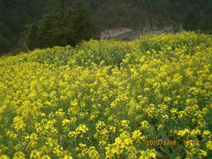 -石潭村