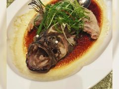 -粤珍轩.创始店.始于2001(含光门店)