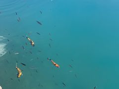 -水濂山森林公园