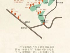 -鼎湖山风景区