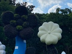 -上海共青森林公园