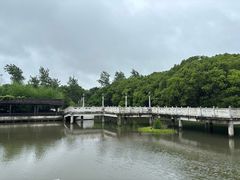 -游龙石文化科普馆