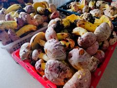 -双喜农庄·菌香园(安居家园店)